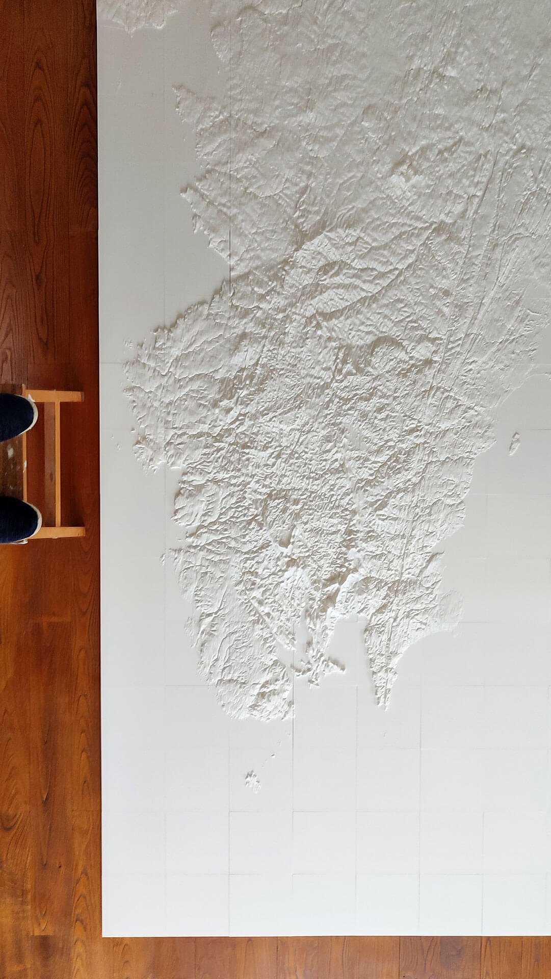 Carte Relief